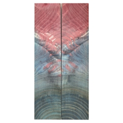 Drewno stabilizowane Jesion czeczot twardziel okładki 10x46x205mm SASCK81